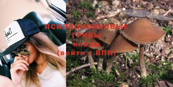 спиды Беломорск