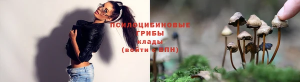 круглые Белокуриха