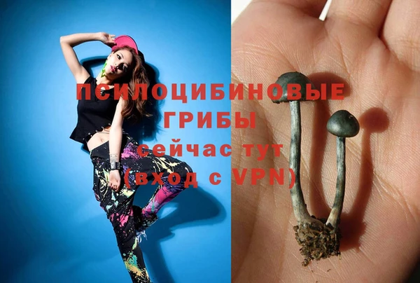 круглые Белокуриха