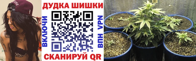 купить   Окуловка  Бошки Шишки VHQ 